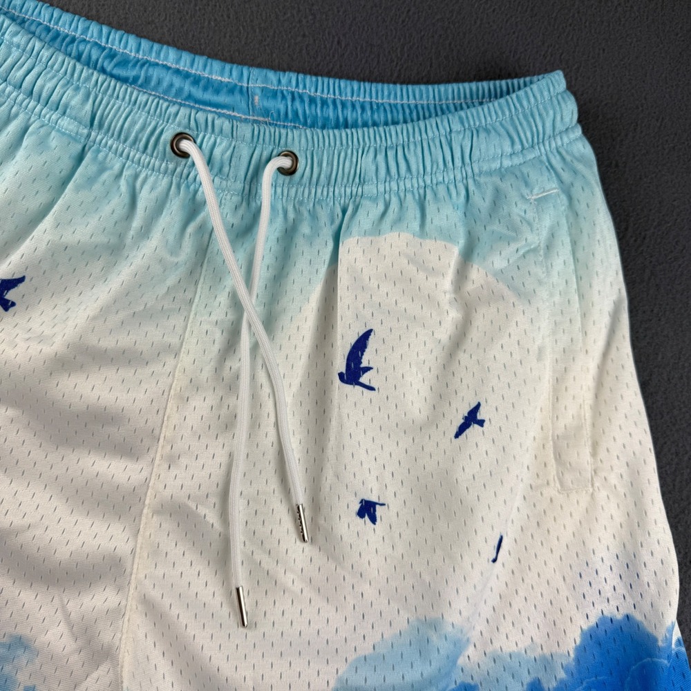 YoungLA Shorts Men's L Blue Cloud Bird Mesh Gym Athletic Fitness AOP Sky 4" - Picture 4 of 9